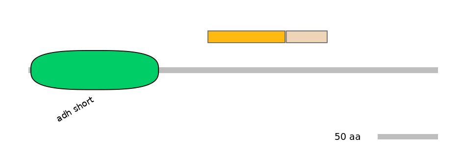 DreINT0079152-EXC