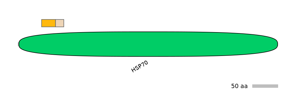 DreINT0079295-EXC