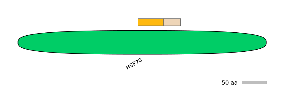 DreINT0079301-EXC
