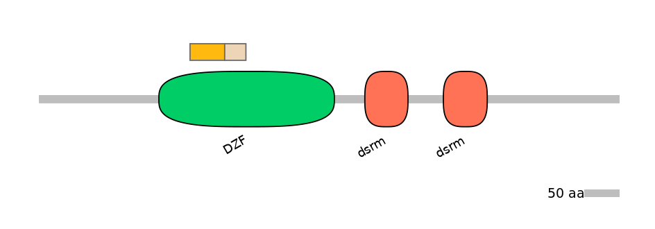 DreINT0081262-EXC