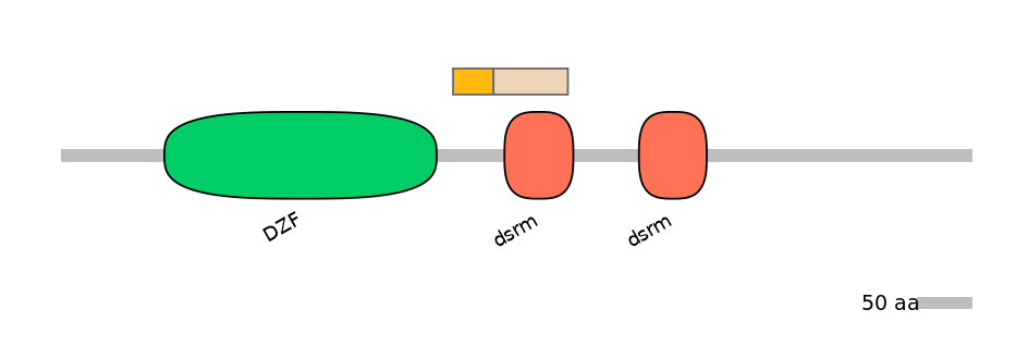 DreINT0081268-EXC