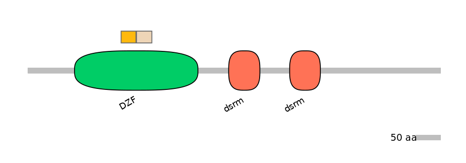 DreINT0081280-EXC