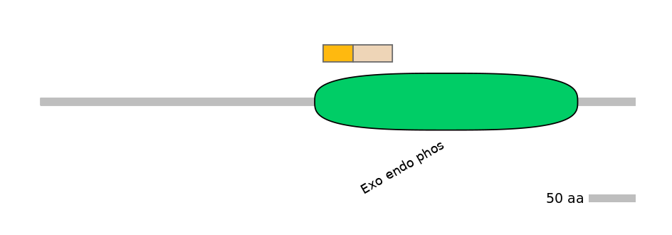 DreINT0081758-EXC