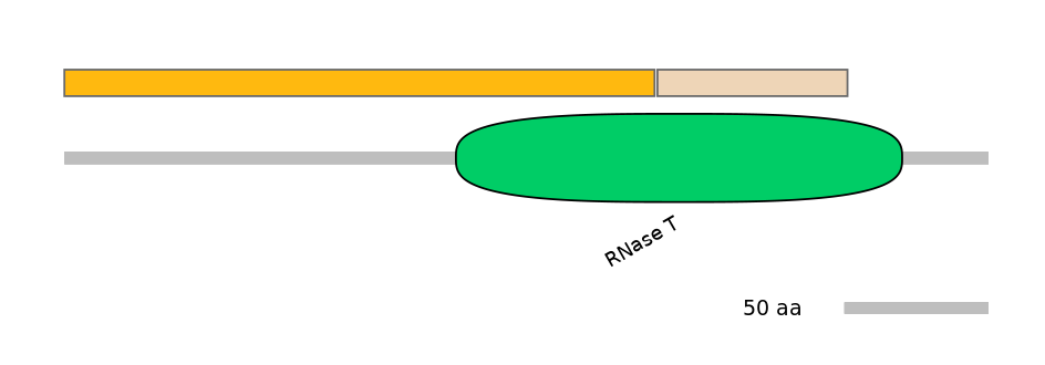 DreINT0082684-EXC