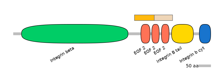 DreINT0083214-EXC