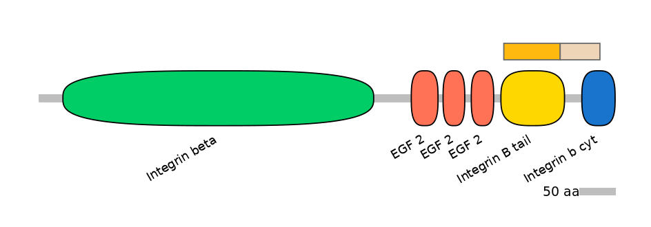 DreINT0083216-EXC