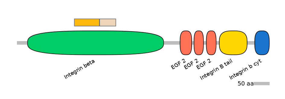 DreINT0083222-EXC