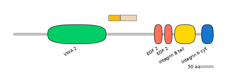 DreINT0083252-EXC