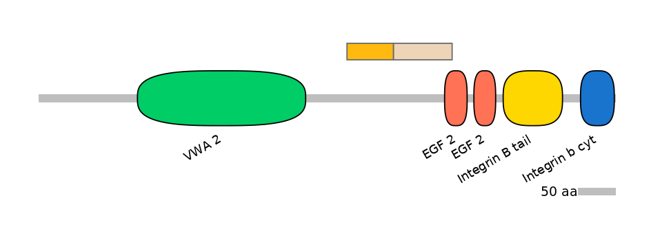 DreINT0083253-EXC
