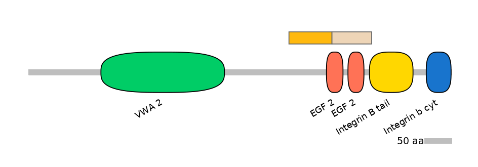 DreINT0083254-EXC