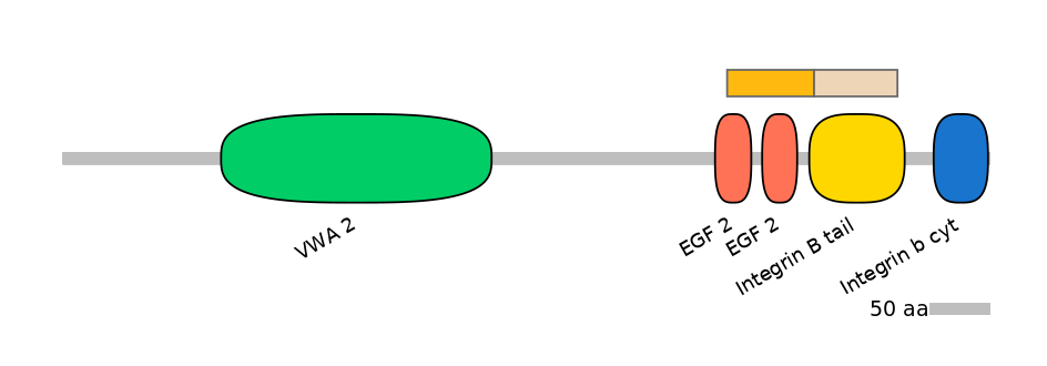 DreINT0083255-EXC