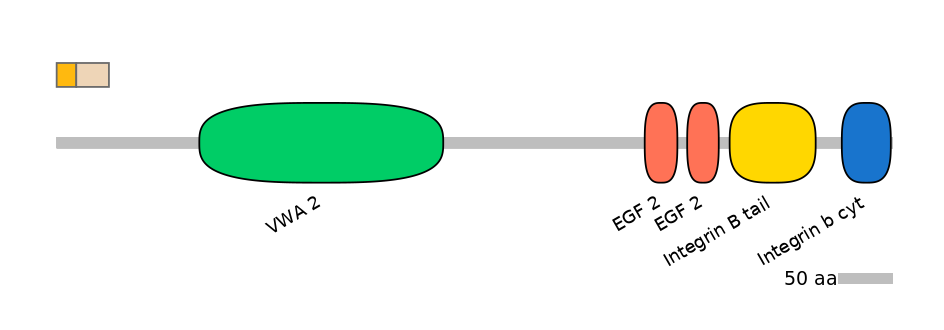 DreINT0083258-EXC
