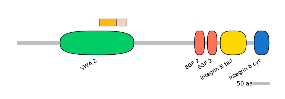 DreINT0083263-EXC