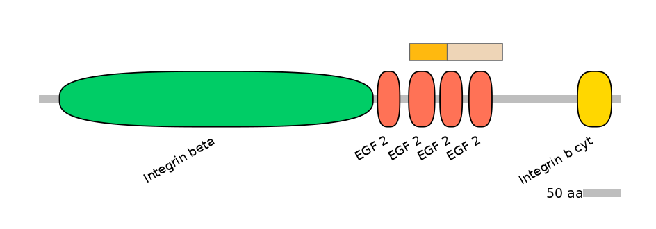 DreINT0083336-EXC