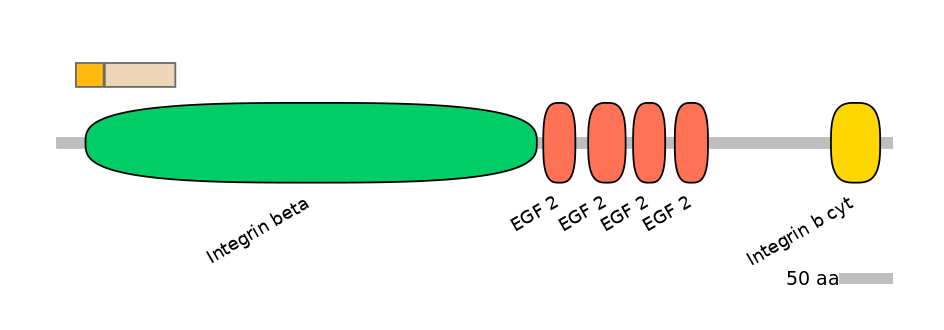 DreINT0083341-EXC