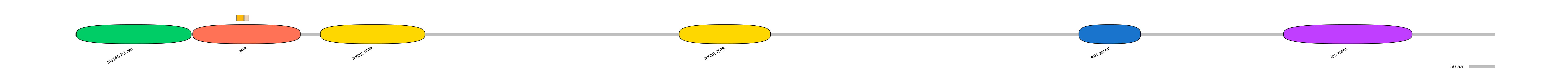 DreINT0083622-EXC