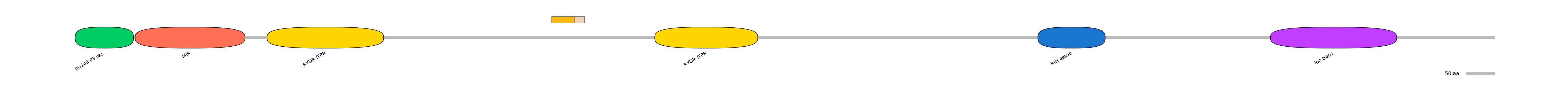 DreINT0083726-EXC