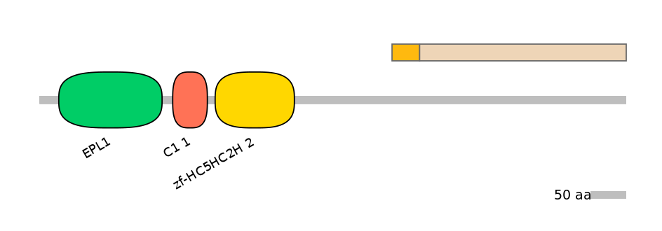 DreINT0083901-EXC