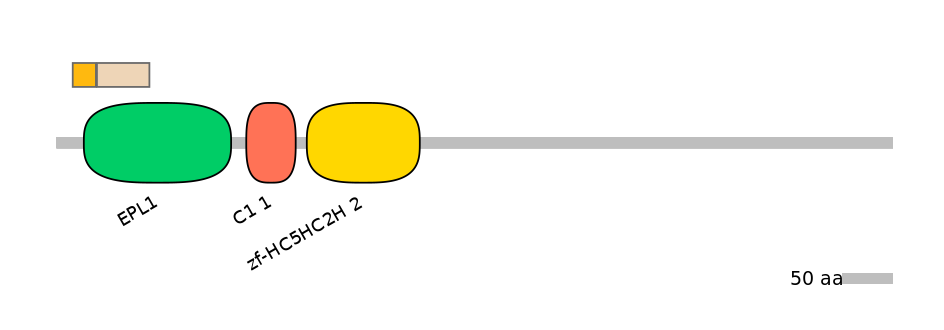 DreINT0083903-EXC