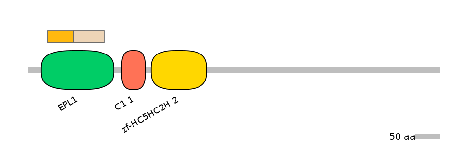 DreINT0083904-EXC
