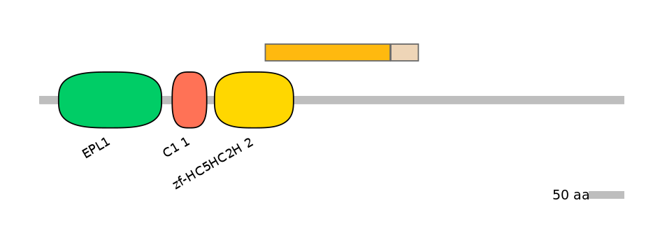 DreINT0083909-EXC