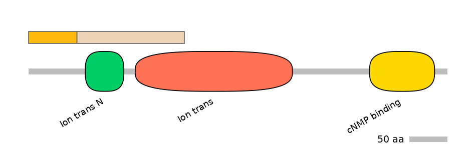 DreINT0084868-EXC