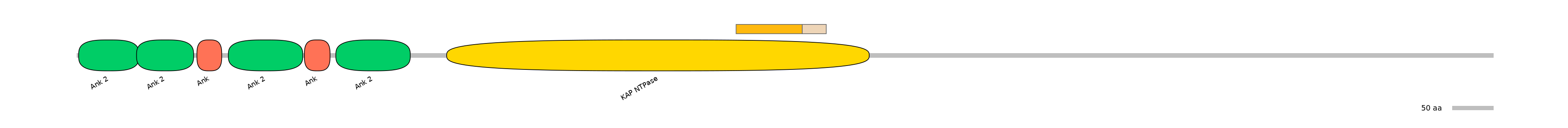 DreINT0085768-EXC