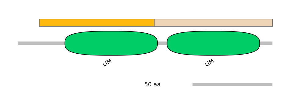 DreINT0089684-EXC