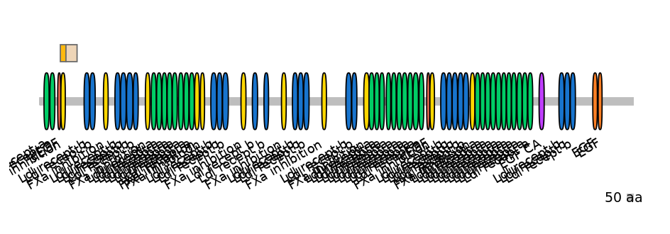 DreINT0090481-EXC