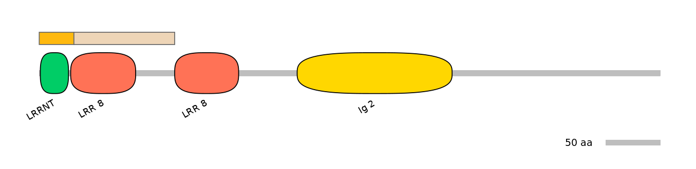 DreINT0090971-EXC