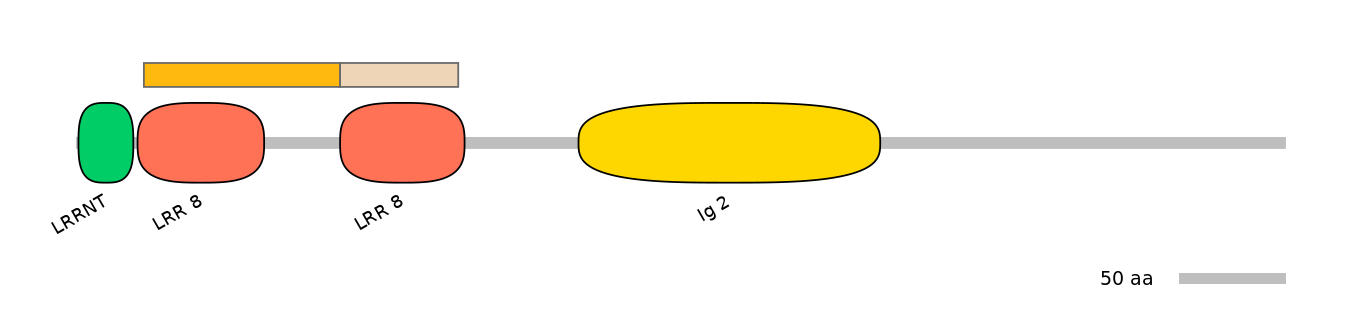 DreINT0090972-EXC