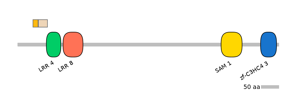 DreINT0091307-EXC