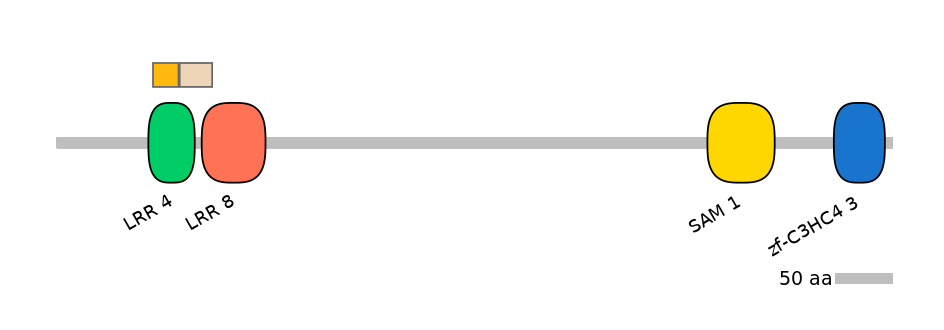 DreINT0091309-EXC