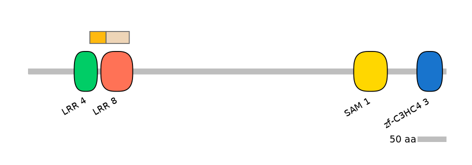 DreINT0091310-EXC