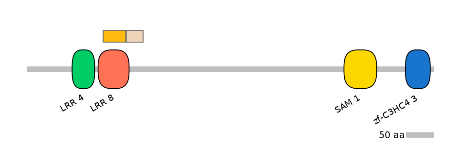 DreINT0091311-EXC