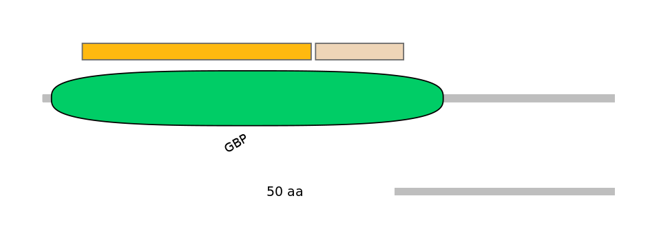 DreINT0091660-EXC