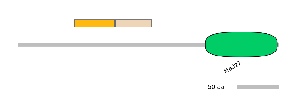 DreINT0094897-EXC