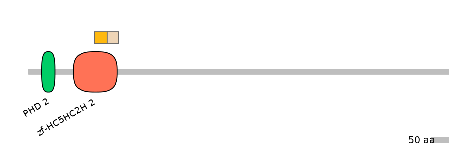DreINT0096582-EXC