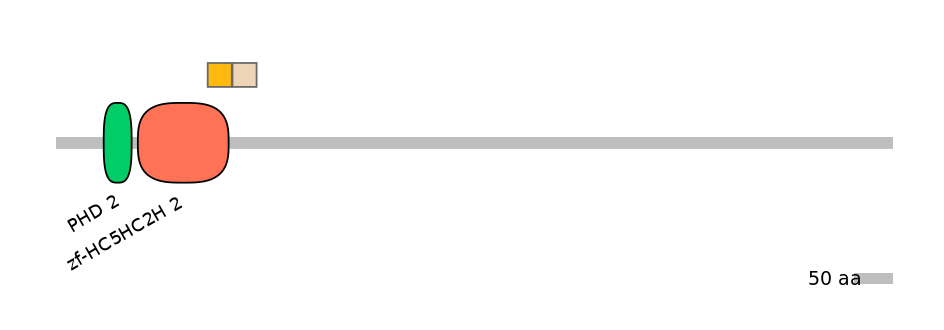 DreINT0096583-EXC