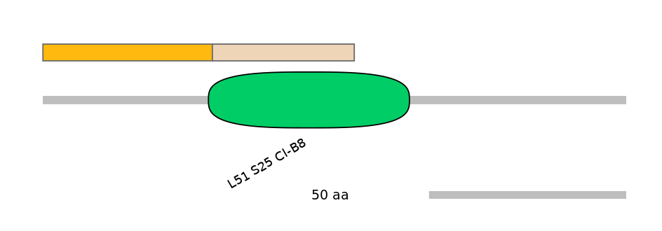 DreINT0097801-EXC