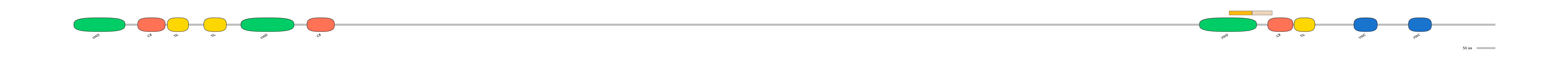 DreINT0099006-EXC