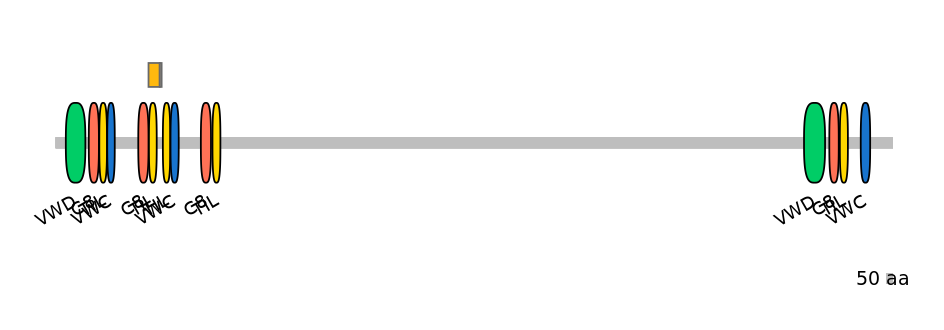 DreINT0099085-EXC
