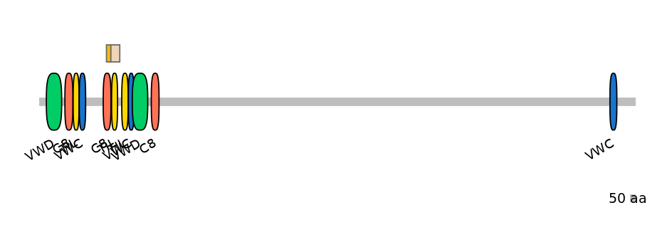 DreINT0099128-EXC