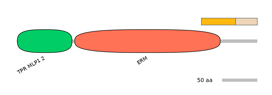 DreINT0102982-EXC