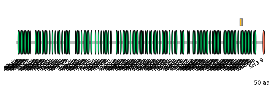 DreINT0103400-EXC