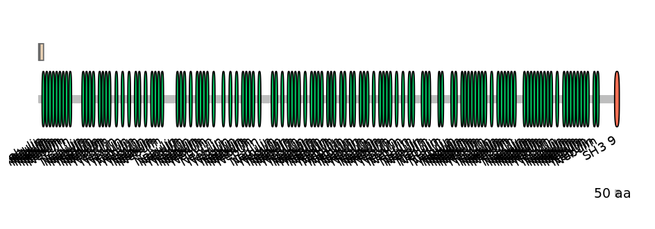 DreINT0103433-EXC