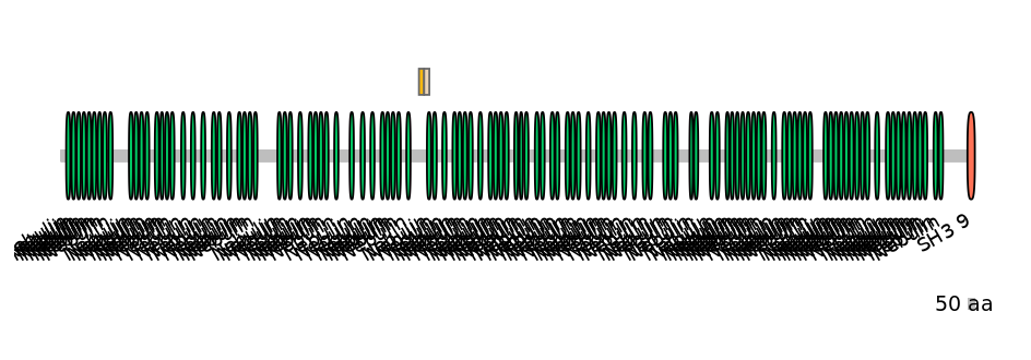 DreINT0103452-EXC