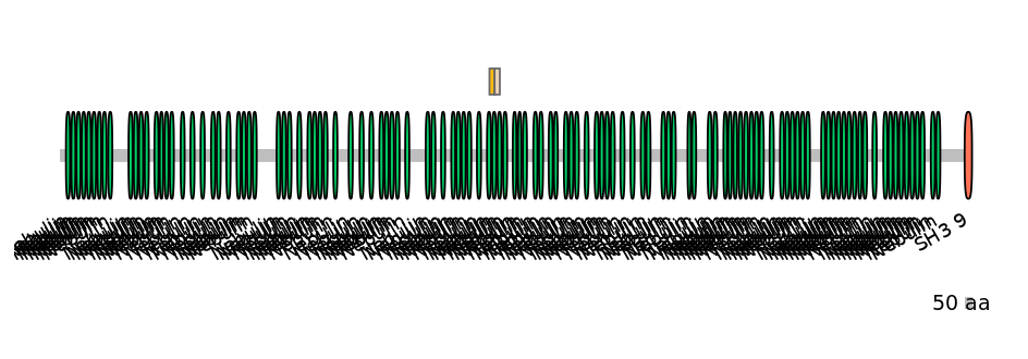 DreINT0103457-EXC