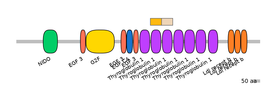 DreINT0104491-EXC