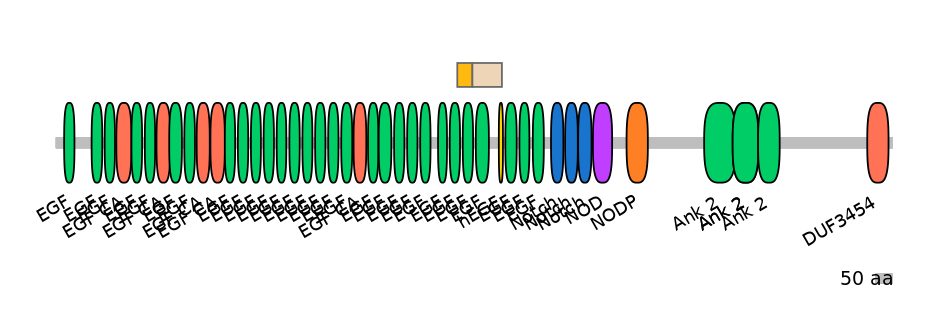 DreINT0105435-EXC